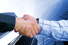 Employment Law